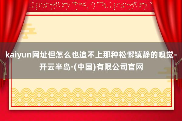 kaiyun网址但怎么也追不上那种松懈镇静的嗅觉-开云半岛·(中国)有限公司官网