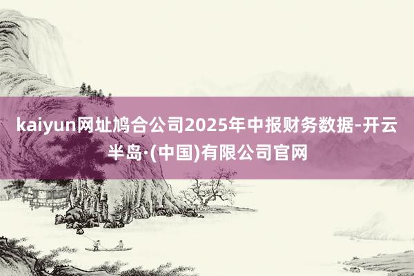kaiyun网址鸠合公司2025年中报财务数据-开云半岛·(中国)有限公司官网