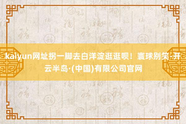 kaiyun网址拐一脚去白洋淀逛逛呗！寰球别笑-开云半岛·(中国)有限公司官网