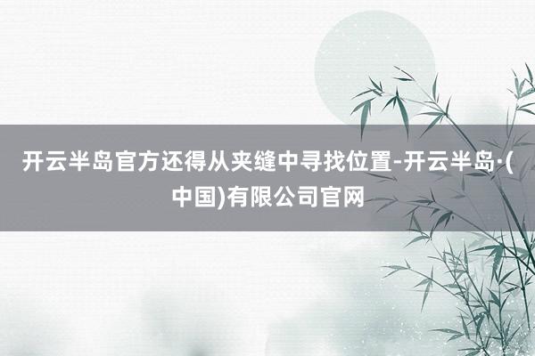开云半岛官方还得从夹缝中寻找位置-开云半岛·(中国)有限公司官网