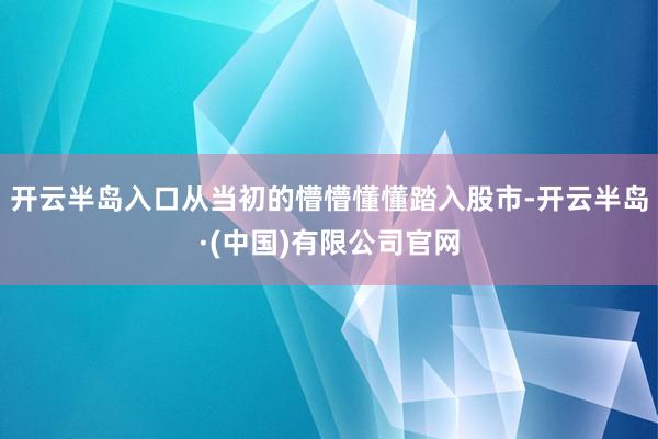 开云半岛入口从当初的懵懵懂懂踏入股市-开云半岛·(中国)有限公司官网