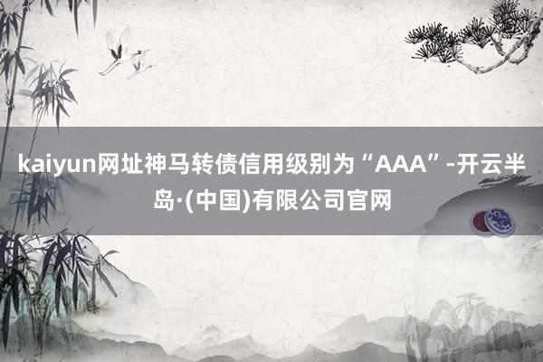 kaiyun网址神马转债信用级别为“AAA”-开云半岛·(中国)有限公司官网