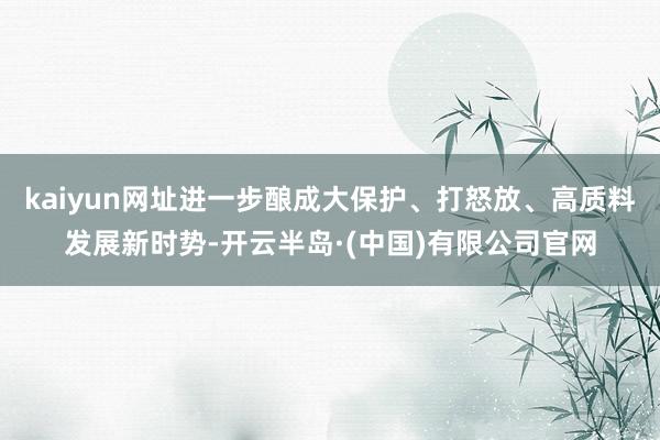 kaiyun网址进一步酿成大保护、打怒放、高质料发展新时势-开云半岛·(中国)有限公司官网