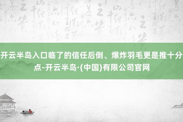 开云半岛入口临了的信任后倒、爆炸羽毛更是推十分点-开云半岛·(中国)有限公司官网