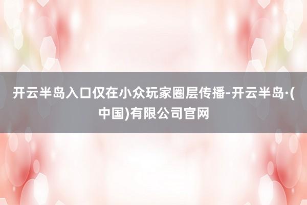 开云半岛入口仅在小众玩家圈层传播-开云半岛·(中国)有限公司官网