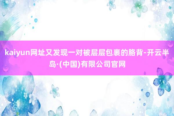 kaiyun网址又发现一对被层层包裹的胳背-开云半岛·(中国)有限公司官网
