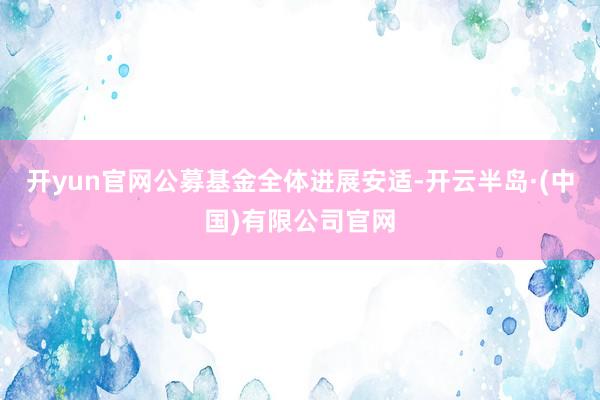 开yun官网公募基金全体进展安适-开云半岛·(中国)有限公司官网