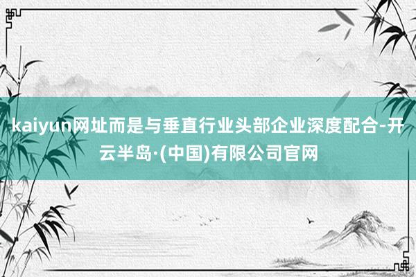 kaiyun网址而是与垂直行业头部企业深度配合-开云半岛·(中国)有限公司官网