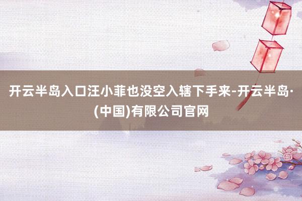 开云半岛入口汪小菲也没空入辖下手来-开云半岛·(中国)有限公司官网