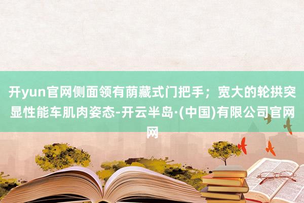 开yun官网侧面领有荫藏式门把手；宽大的轮拱突显性能车肌肉姿态-开云半岛·(中国)有限公司官网