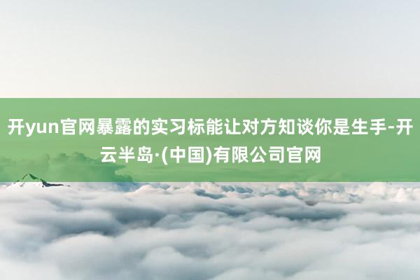 开yun官网暴露的实习标能让对方知谈你是生手-开云半岛·(中国)有限公司官网